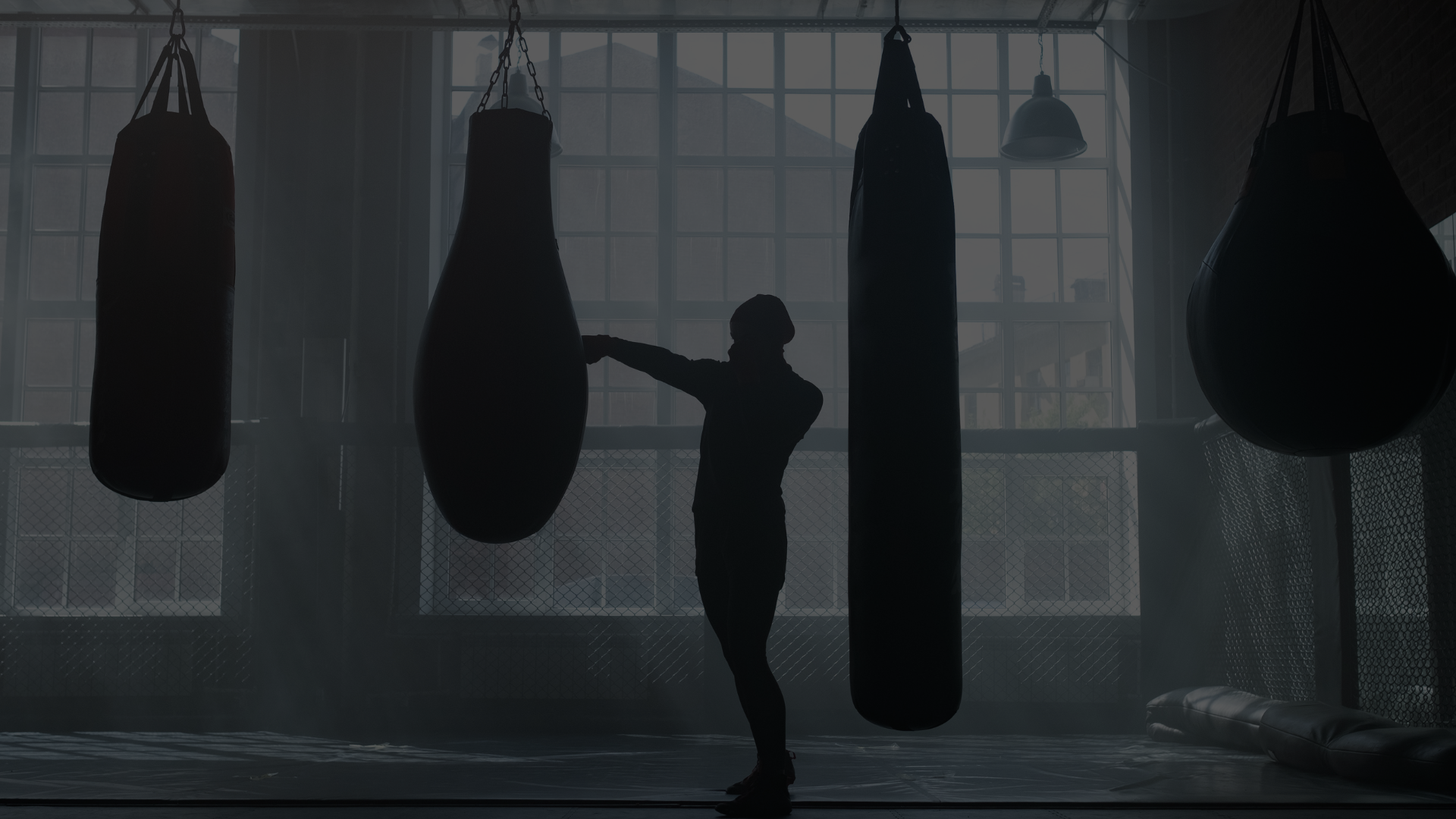 Professional Combat Sports Equipment for Serious Training